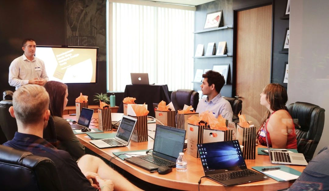 Social Link developers collaborating on a web project